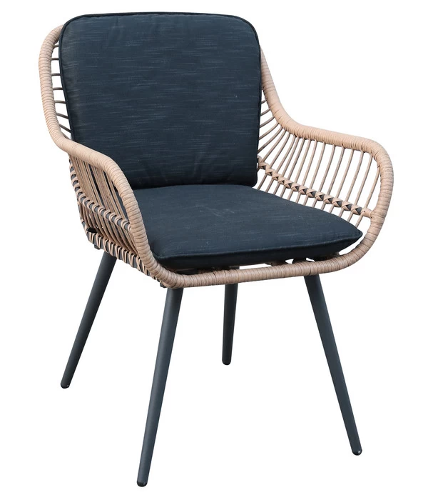 Dehner Gartenstuhl Venezia 1 Dehner Gartenstuhl Venezia